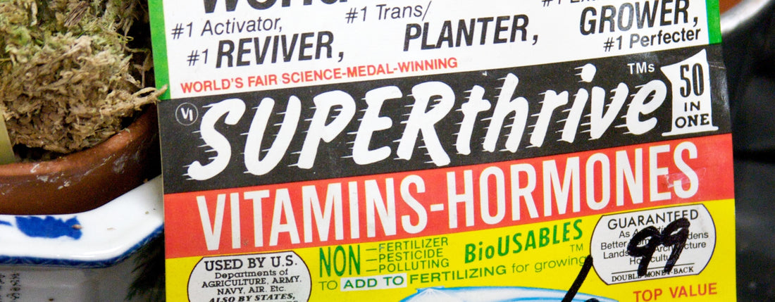 Tăng Trưởng Vượt Bậc với Superthrive Grow More